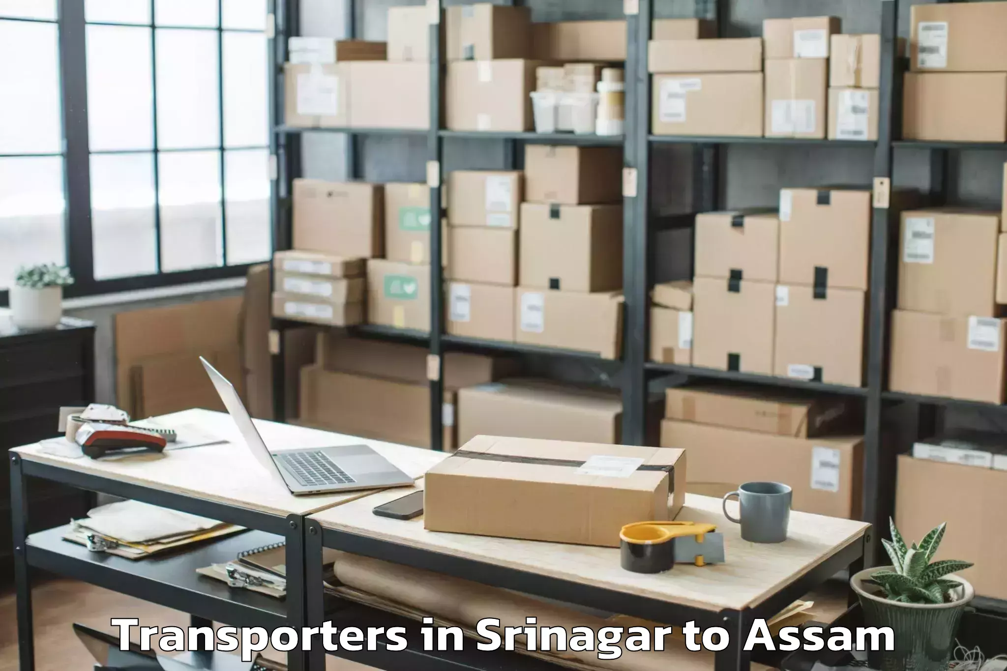 Top Srinagar to Assam Transporters Available